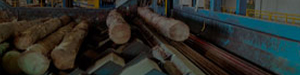 Productos para la industria maderera y aserraderos